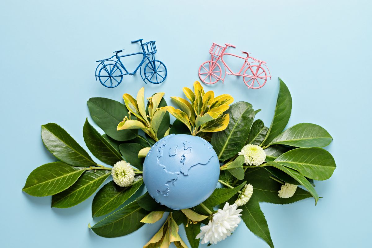 Nachhaltiges Leben: Praktische Tipps für einen grünen Alltag